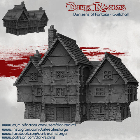 Dark Realms Denizens of Fantasy TOWN HALL Huge set!